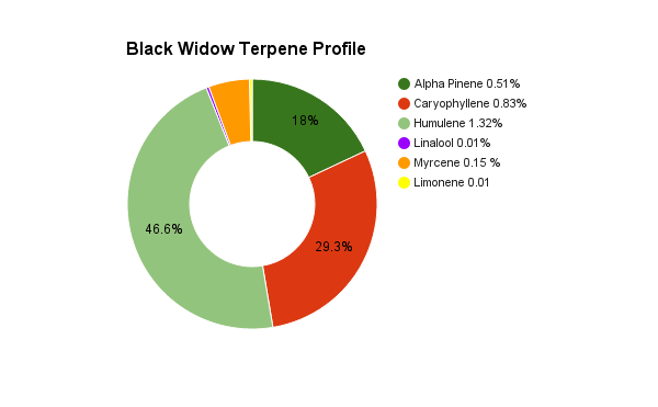 black-widow-terpene-profile